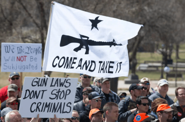 Minnesota red flag law